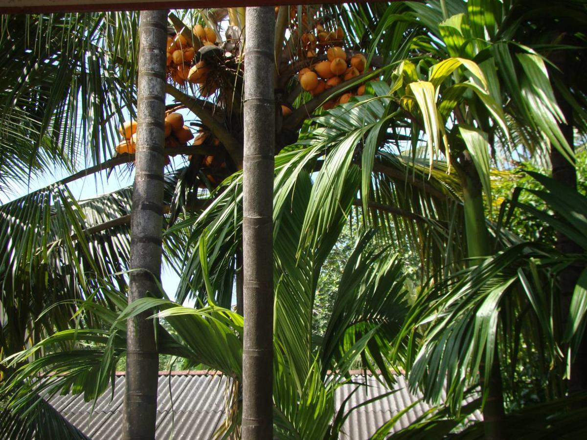 Moragalla Dilu Villa Beruwala Ngoại thất bức ảnh