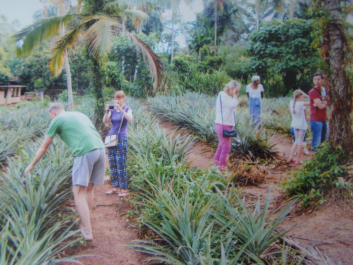 Moragalla Dilu Villa Beruwala Ngoại thất bức ảnh