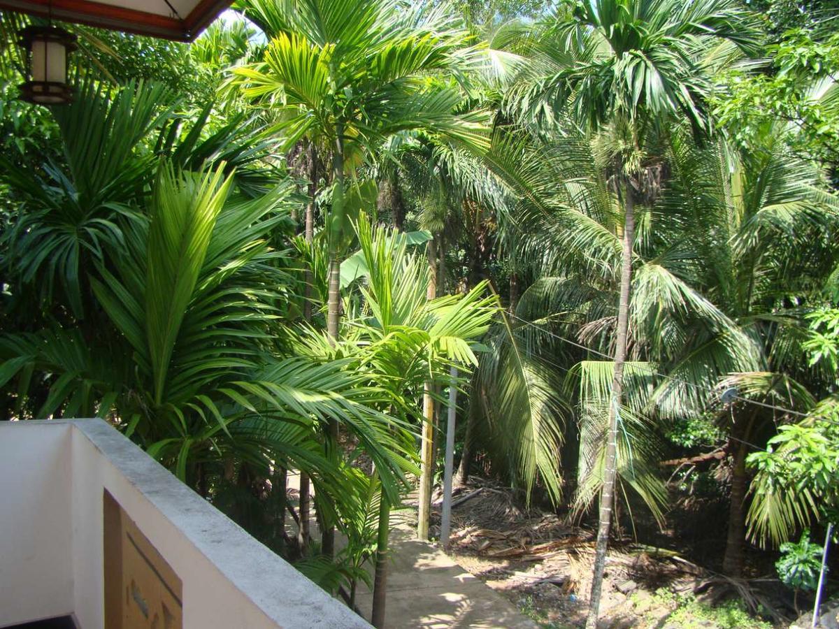 Moragalla Dilu Villa Beruwala Ngoại thất bức ảnh