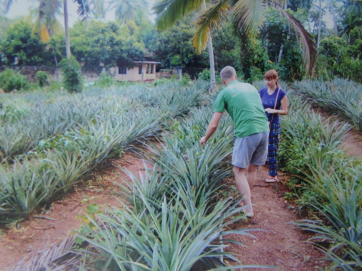Moragalla Dilu Villa Beruwala Ngoại thất bức ảnh