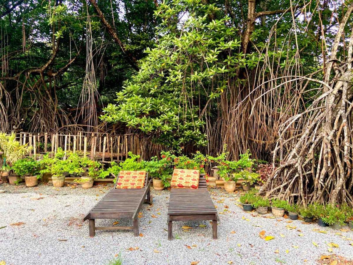 Moragalla Dilu Villa Beruwala Ngoại thất bức ảnh